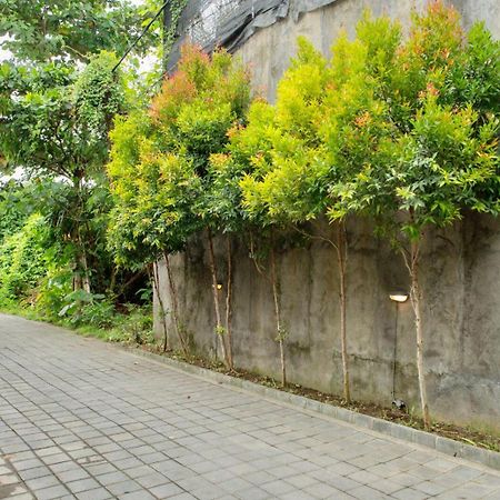 A7 Guesthouse Чангу Екстер'єр фото