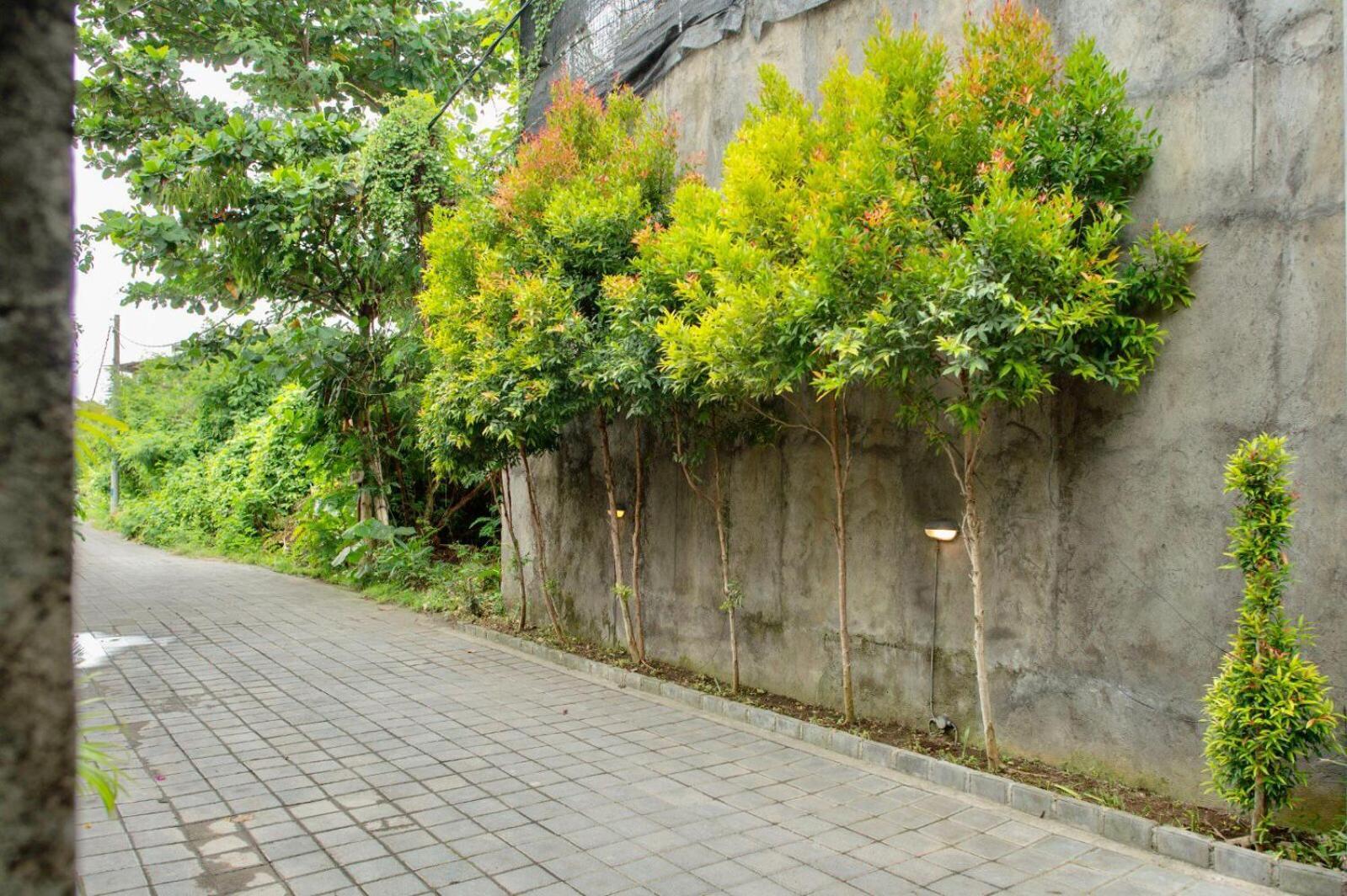 A7 Guesthouse Чангу Екстер'єр фото